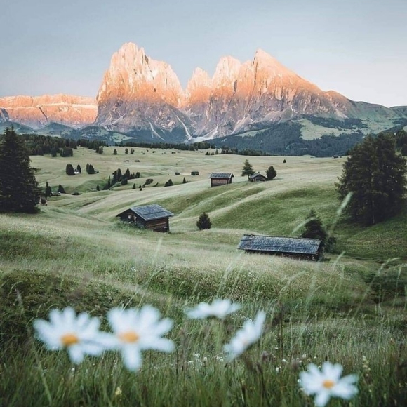 Meet your Posher, Flurry - Picture 1 of 1